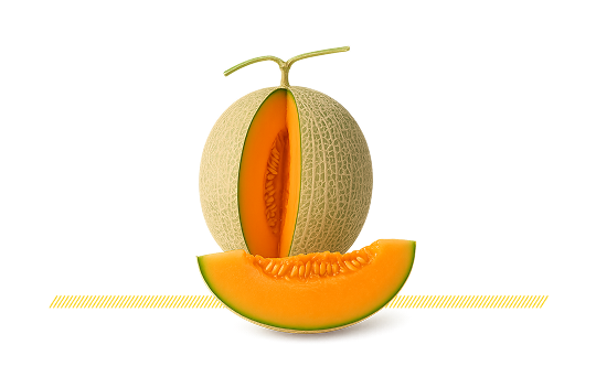 Japanese Melon